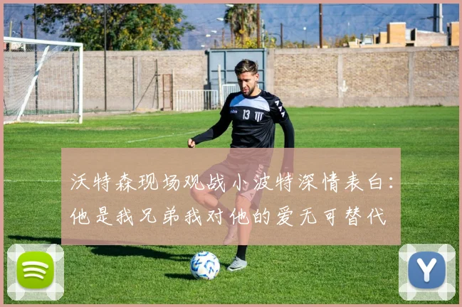 沃特森现场观战小波特深情表白：他是我兄弟我对他的爱无可替代