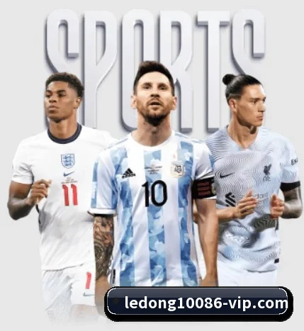 每个板块围绕一个运动项目展开 - LDsports
